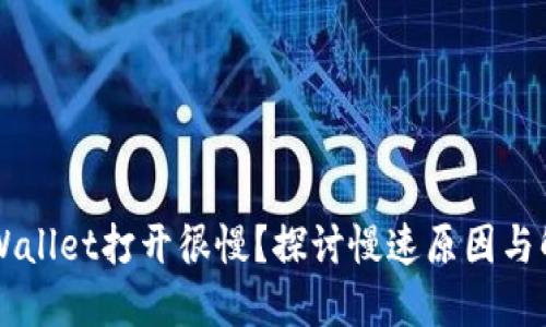 为何TPWallet打开很慢？探讨慢速原因与解决方案