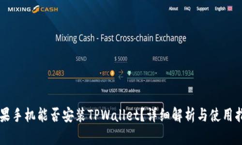 苹果手机能否安装TPWallet？详细解析与使用指南