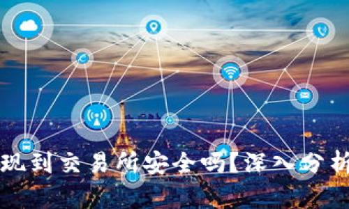 TPWallet提现到交易所安全吗？深入分析与用户建议