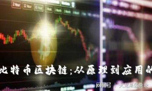 全面解析比特币区块链：从原理到应用的深度剖析