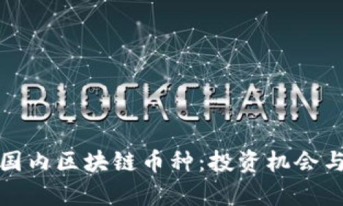 全面解析国内区块链币种：投资机会与风险并存