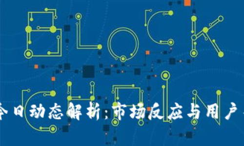 TPWallet今日动态解析：市场反应与用户关注的热点