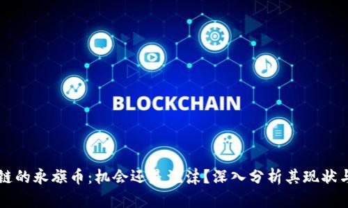 区块链的永旗币：机会还是泡沫？深入分析其现状与未来