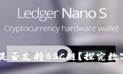 电脑版TPWallet是否支持BSC链？探究数字资产管理的未来