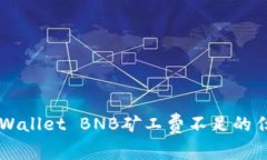 解决TPWallet BNB矿工费不足的任务指南