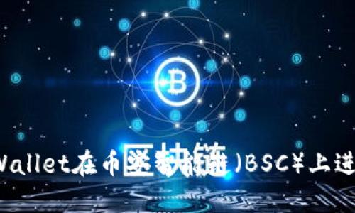 如何使用TPWallet在币安智能链（BSC）上进行安全交易？