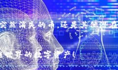   TP Wallet 中的币突然消失的原因及解决方案 /