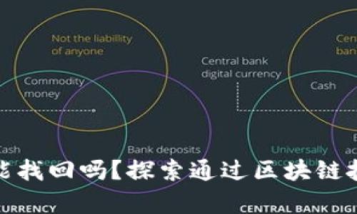tpwallet里的币被盗能找回吗？探索通过区块链技术追回资产的可行性
