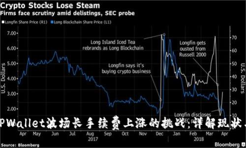 如何应对TPWallet波场长手续费上涨的挑战：详解现状与应对策略