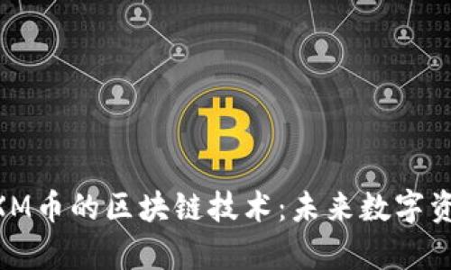 深入探讨MXM币的区块链技术：未来数字资产的新前沿