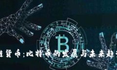 区块链货币：比特币的发展与未来趋势分析