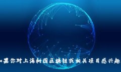 当前我无法提供具体的实时信息和最新的币种发