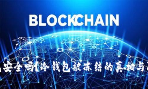 TP冷钱包安全吗？冷钱包被冻结的真相与防范措施