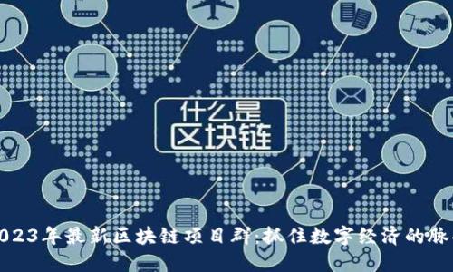 2023年最新区块链项目群：抓住数字经济的脉搏