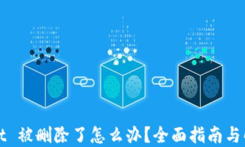 
TPWallet 被删除了怎么办？全面指南与解决方案