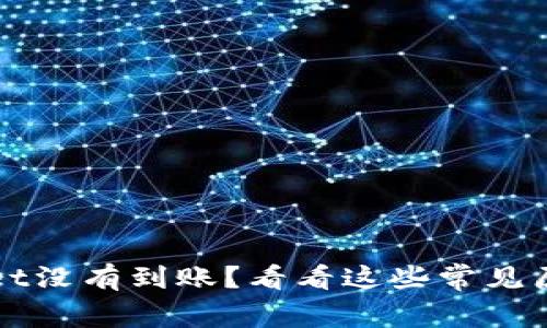 提币到TPWallet没有到账？看看这些常见原因和解决方案