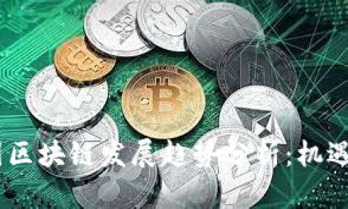 : 2023中国区块链发展趋势分析：机遇与挑战并存