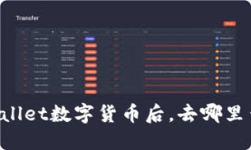 成功兑换TPWallet数字货币后，去哪里查看兑换记录？