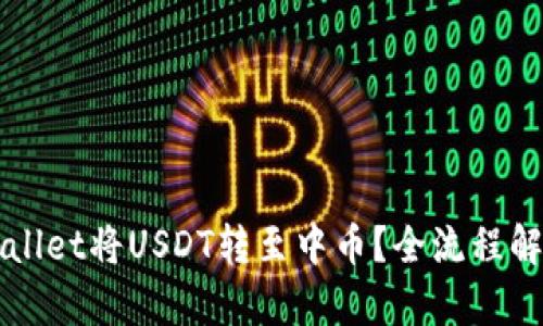 如何通过TPWallet将USDT转至中币？全流程解析和实用技巧