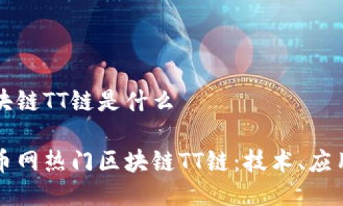 火币网上区块链TT链是什么

深入探秘火币网热门区块链TT链：技术、应用与未来展望