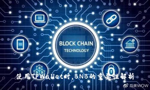 使用TPWallet时，BNB的重要性解析