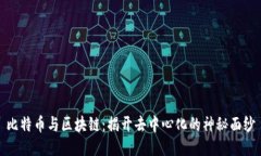 比特币与区块链：揭开去中心化的神秘面纱