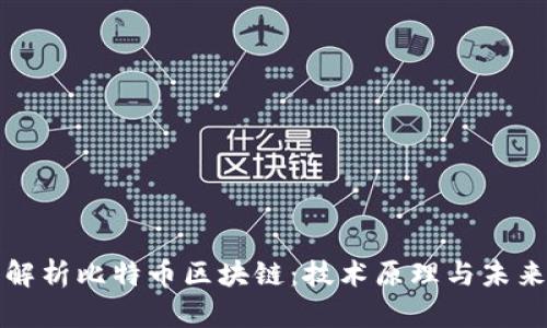 深入解析比特币区块链：技术原理与未来趋势