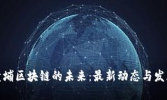 探索黄埔区块链的未来：最新动态与发展趋势