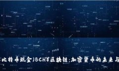 了解比特币现金（BCH）区块链：加密货币的未来