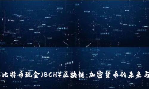 了解比特币现金（BCH）区块链：加密货币的未来与应用