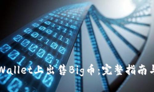 如何在TPWallet上出售Big币：完整指南与实用技巧