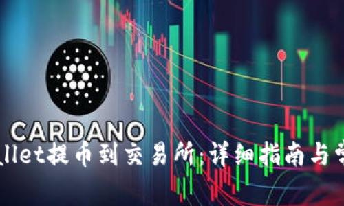 如何从TPWallet提币到交易所：详细指南与常见问题解析