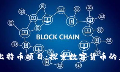 区块链与比特币项目：探索数字货币的未来与应用