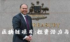 揭秘币类区块链项目：投资潜力与未来趋势