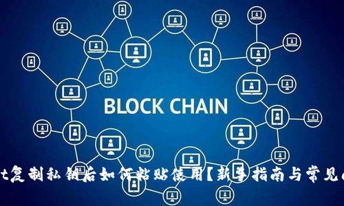 TPWallet复制私钥后如何粘贴使用？新手指南与常见问题解答