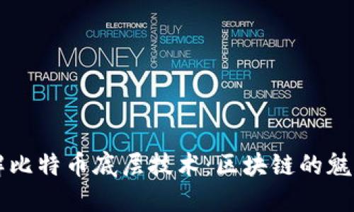 深入了解比特币底层技术：区块链的魅力与应用