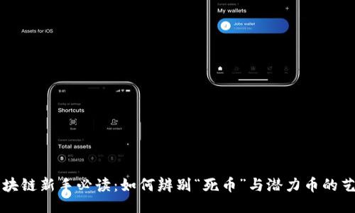 区块链新手必读：如何辨别“死币”与潜力币的艺术