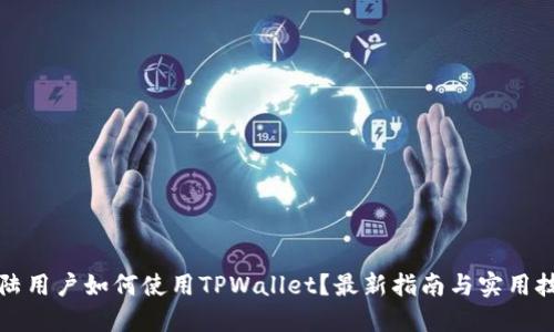 大陆用户如何使用TPWallet？最新指南与实用技巧