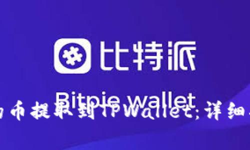 如何将交易所的币提取到TPWallet：详细指南与注意事项