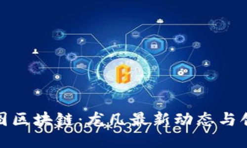 探索树图区块链：龙凡最新动态与创新趋势