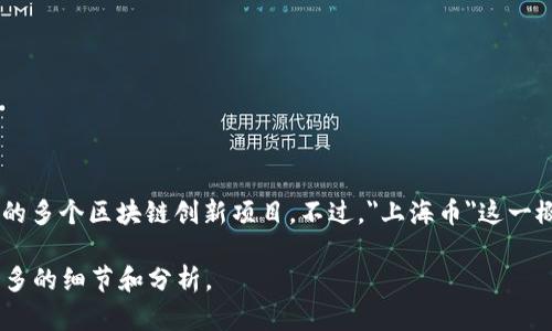 在上海，区块链相关的项目和组织有很多，其中较为知名的有上海科技大学的“上海币”，以及上海市政府支持的多个区块链创新项目。不过，