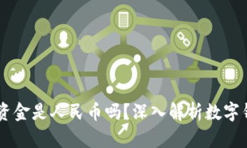 TPWallet中的资金是人民币吗？深入解析数字钱包的货币性质