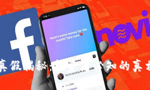 区块链币的真假揭秘：投资者必知的真相与风险分析