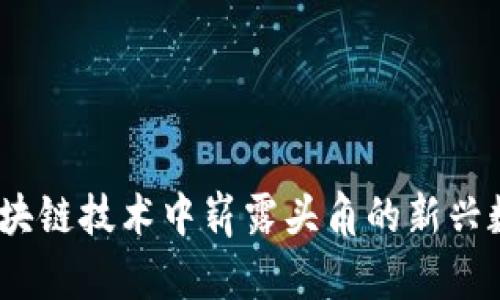 Pi币：区块链技术中崭露头角的新兴数字货币