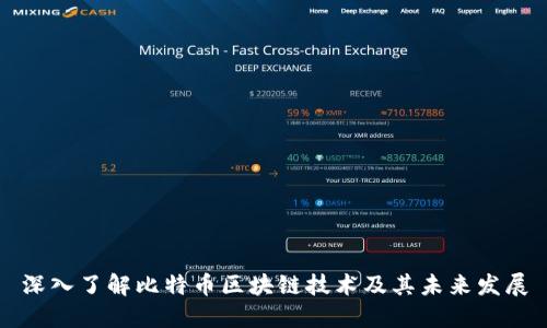 深入了解比特币区块链技术及其未来发展