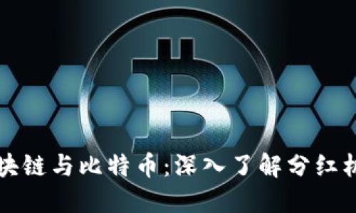 区块链与比特币：深入了解分红机制