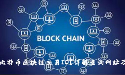 如何查询比特币区块链交易ID？详解查询网址及使用技巧