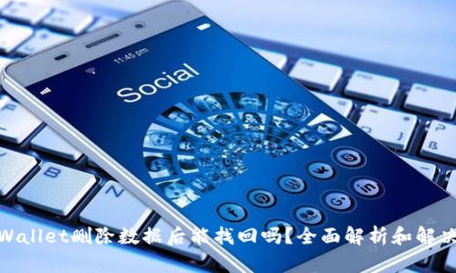 : tpWallet删除数据后能找回吗？全面解析和解决方案