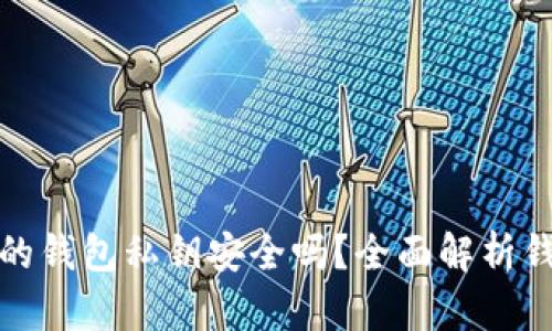 tpwallet生成的钱包私钥安全吗？全面解析钱包私钥安全性