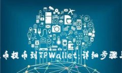 如何将FIL币提币到TPWallet：详细步骤与注意事项